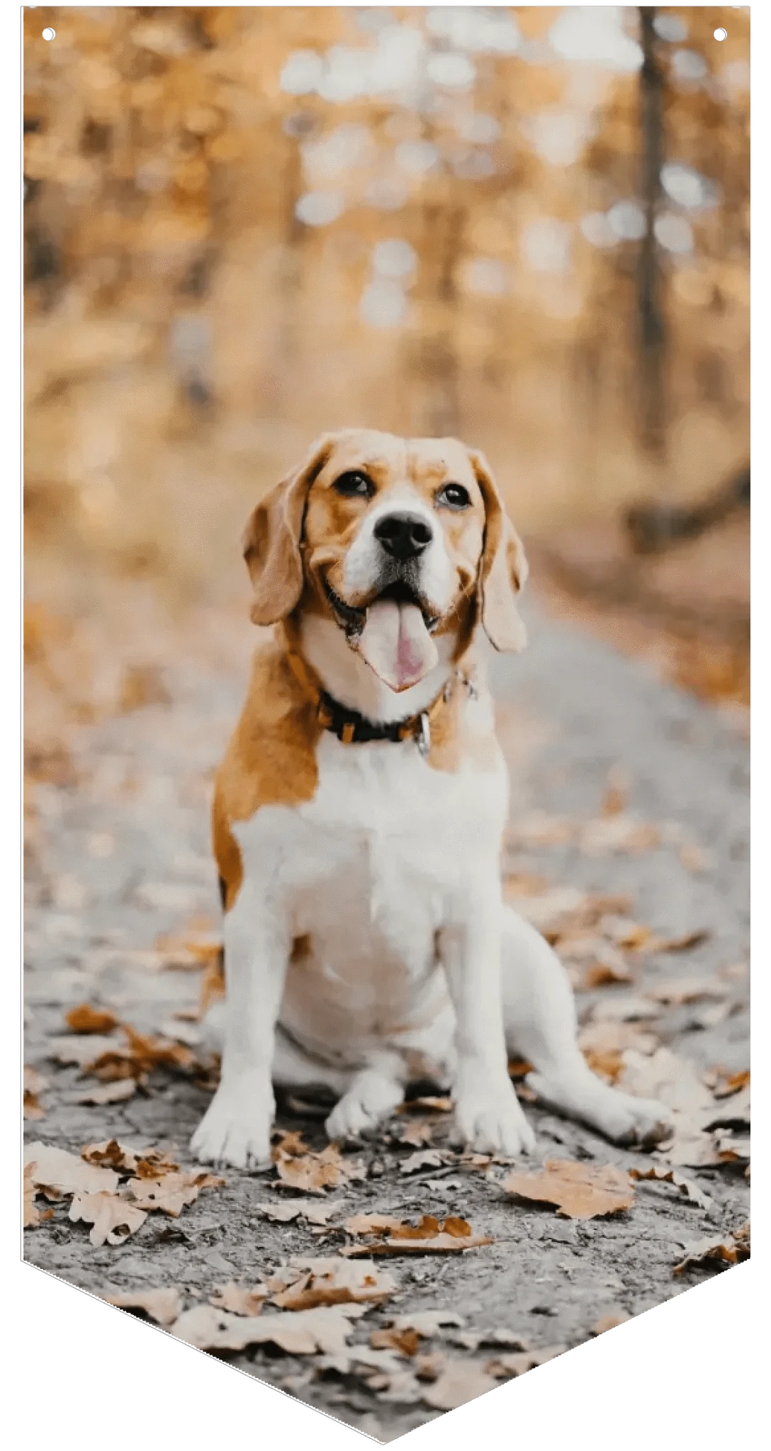 Photo Upload Wall Banner