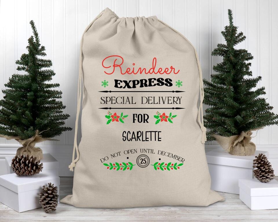 Reindeer Express Special Delivery Santa Sack
