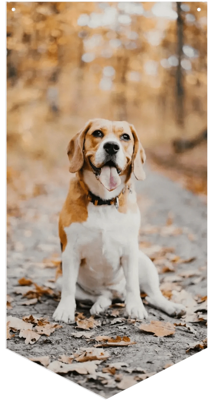 Photo Upload Wall Banner