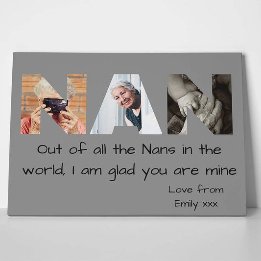 NAN Photo Canvas Print